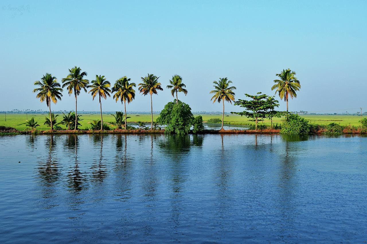 Marari Peterland Daire Alappuzha Oda fotoğraf